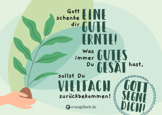 Segensgruß-Karte: Gott schenke dir eine gute Ernte!