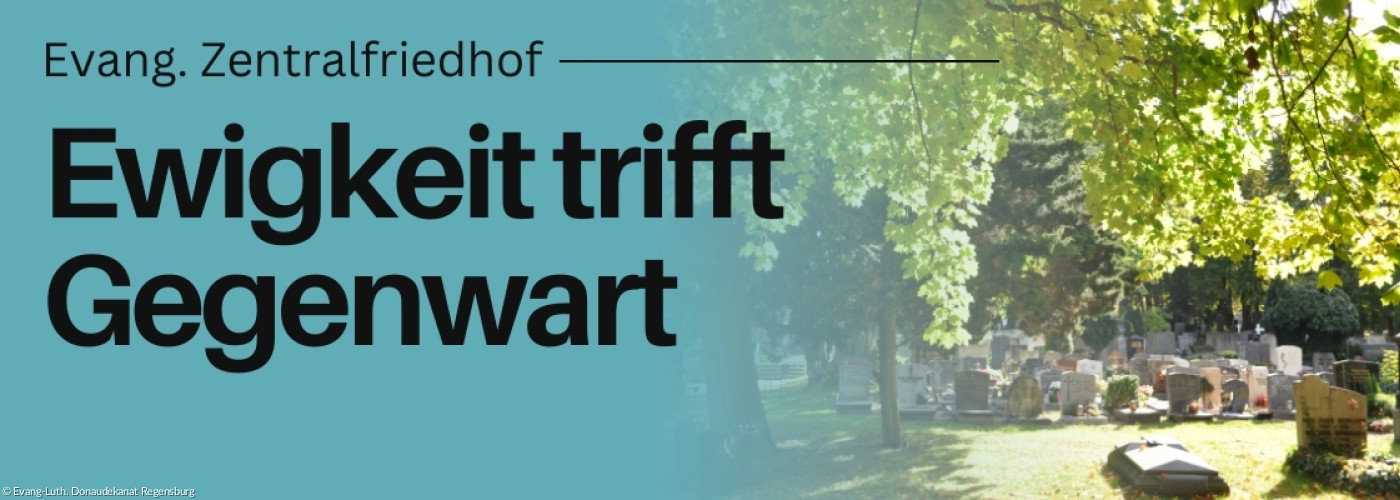 Blick auf den Gräber unter einem Baum hervor bei Sonne.