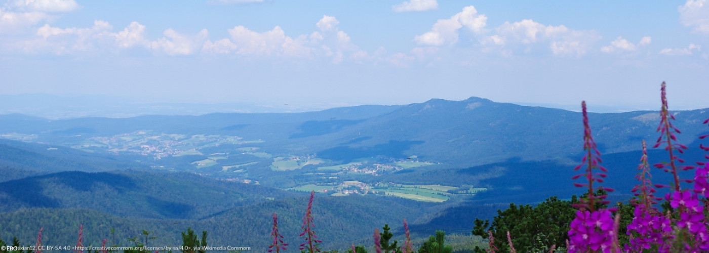 Blick in den Bayerischen Wald