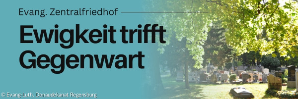 Blick auf den Gräber unter einem Baum hervor bei Sonne.