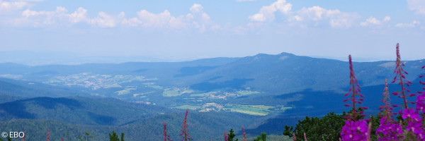 Blick in den Bayerischen Wald