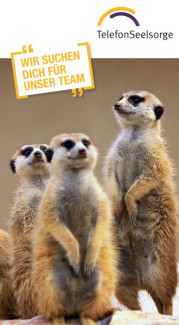 Erdmännchen dabei steht: Komm in unser Team