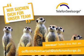 Werbung für Telefonseelsorge. Erdmännchen die in eine Richtung schauen. Logo der Telefonseelsorge.